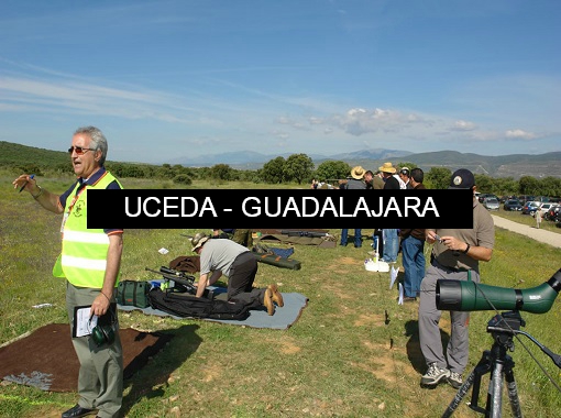 Clasificaciones F-Class Campo de Tiro Uceda